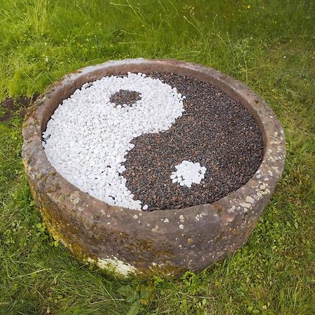 Saint-Cyprien-sur-DourdouLe Curieux De Conques住宿加早餐旅馆 外观 照片
