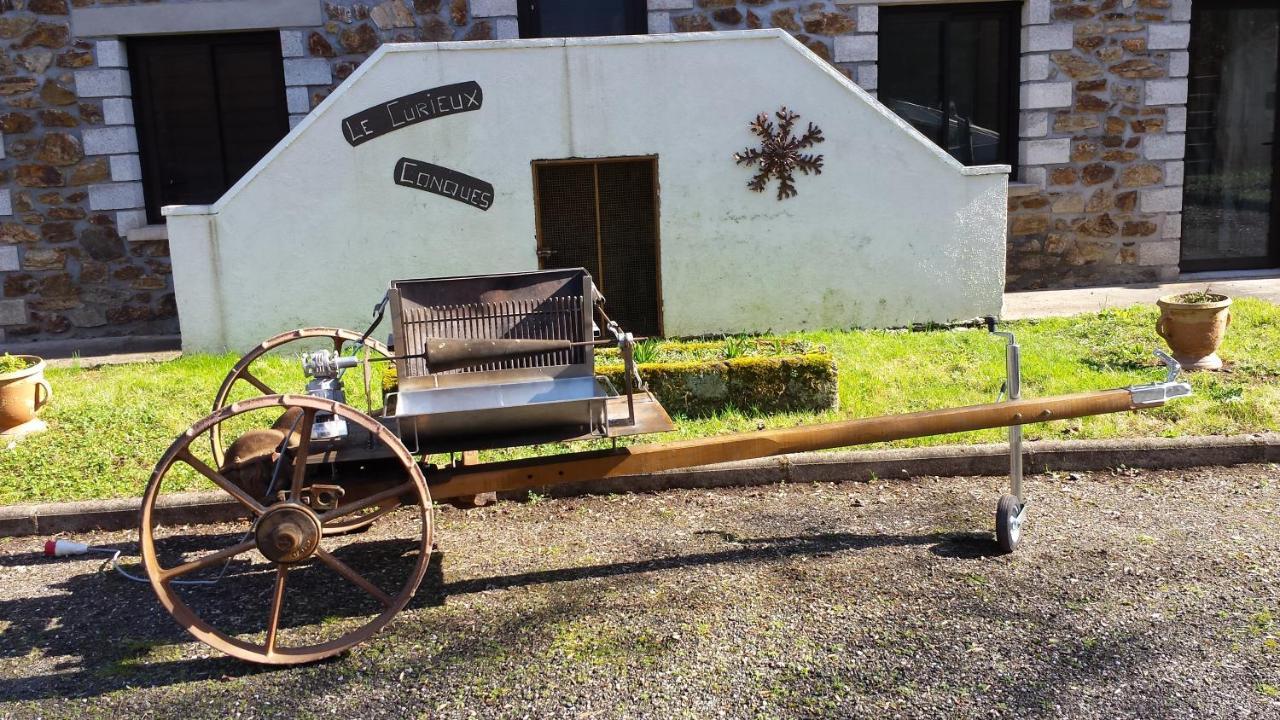 Saint-Cyprien-sur-DourdouLe Curieux De Conques住宿加早餐旅馆 外观 照片