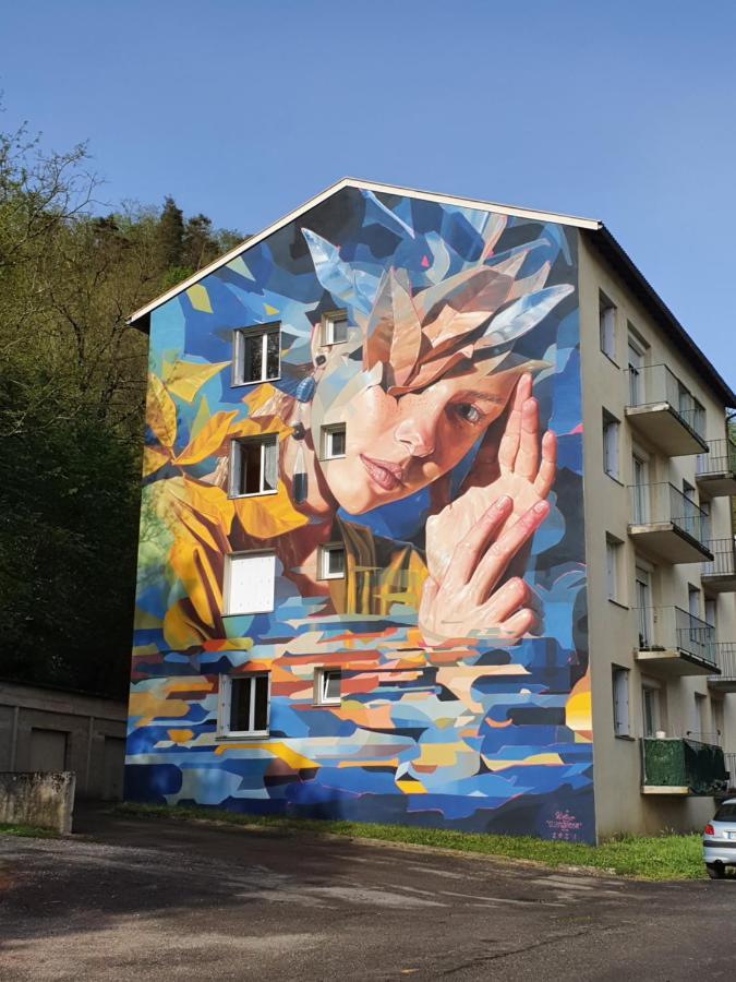 Saint-Cyprien-sur-DourdouLe Curieux De Conques住宿加早餐旅馆 外观 照片
