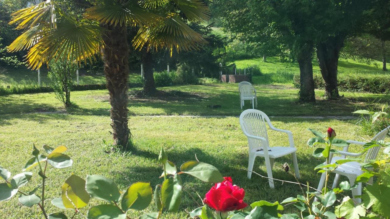 Saint-Cyprien-sur-DourdouLe Curieux De Conques住宿加早餐旅馆 外观 照片